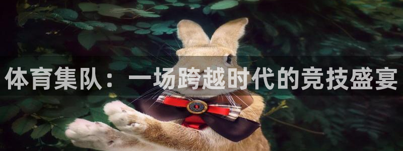 体育集队：一场跨越时代的竞技盛宴