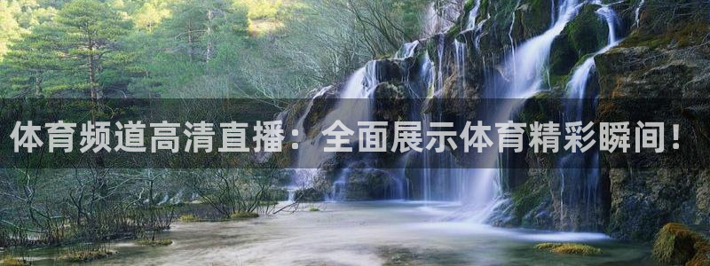 体育频道高清直播：全面展示体育精彩瞬间！
