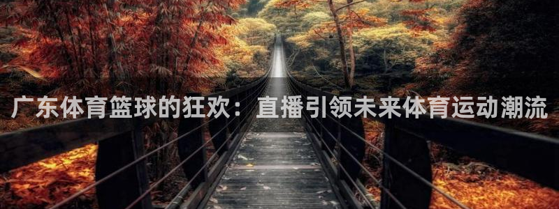 广东体育篮球的狂欢：直播引领未来体育运动潮流