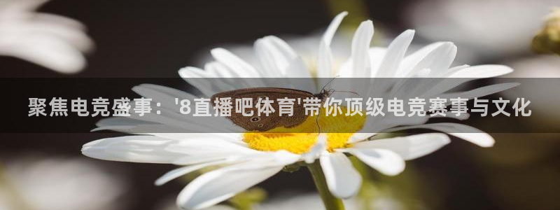 聚焦电竞盛事：\'8直播吧体育\'带你顶级电竞赛事与文化