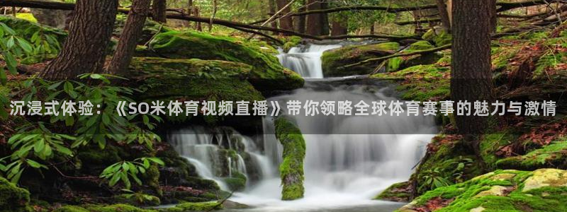 沉浸式体验：《SO米体育视频直播》带你领略全球体育赛事的魅力与激情