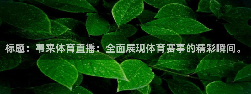 标题：韦来体育直播：全面展现体育赛事的精彩瞬间。