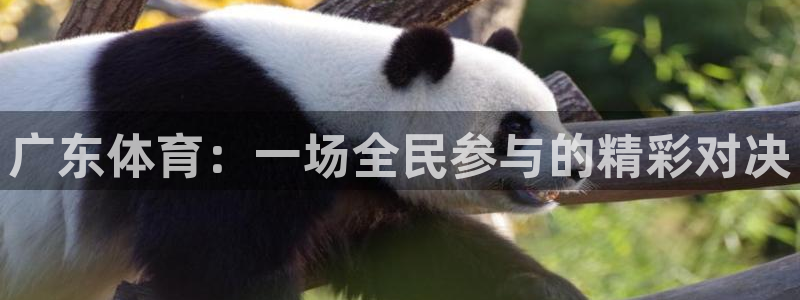 广东体育：一场全民参与的精彩对决