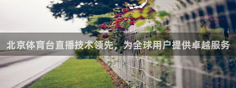 北京体育台直播技术领先，为全球用户提供卓越服务