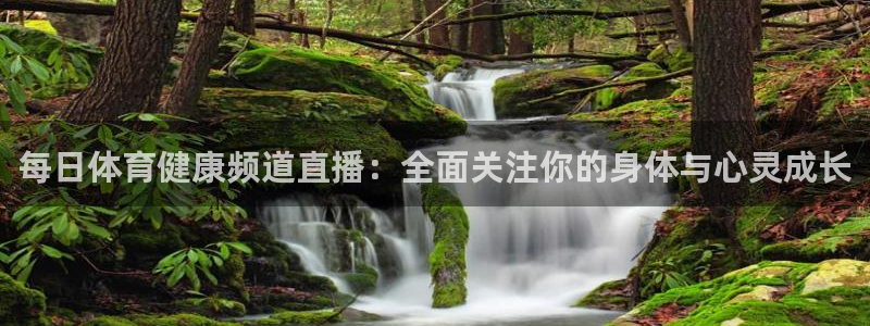 每日体育健康频道直播：全面关注你的身体与心灵成长