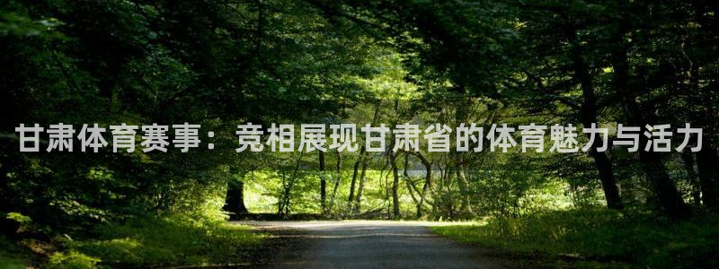 甘肃体育赛事：竞相展现甘肃省的体育魅力与活力