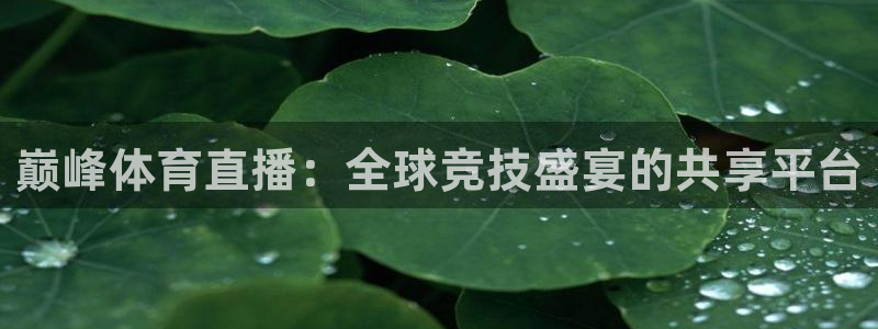 巅峰体育直播：全球竞技盛宴的共享平台