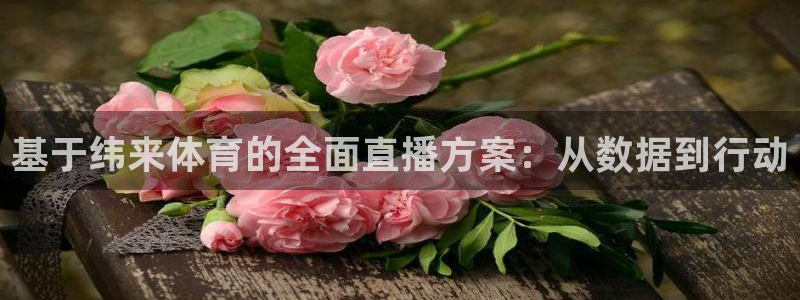 基于纬来体育的全面直播方案：从数据到行动