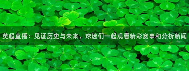 英超直播：见证历史与未来，球迷们一起观看精彩赛事和分析新闻