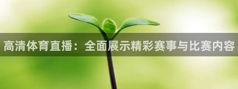 高清体育直播：全面展示精彩赛事与比赛内容