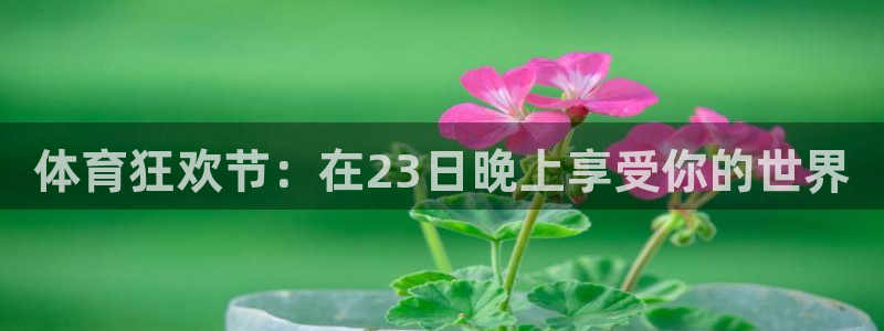 体育狂欢节：在23日晚上享受你的世界